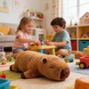WESOPAN Weighted Capybara Plush Pillow, 30cm Soft Weighted Capybara Stuffed