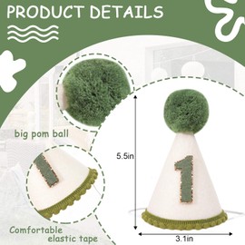 Wild One 1st Birthday Cone Hat - Greenery First Birthday Party Hat for Baby Boys,Olive 1st Birthday Party Crown. (Green and Linen 1st Birthday Party Crown)