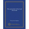 The potential of the lead electrode
