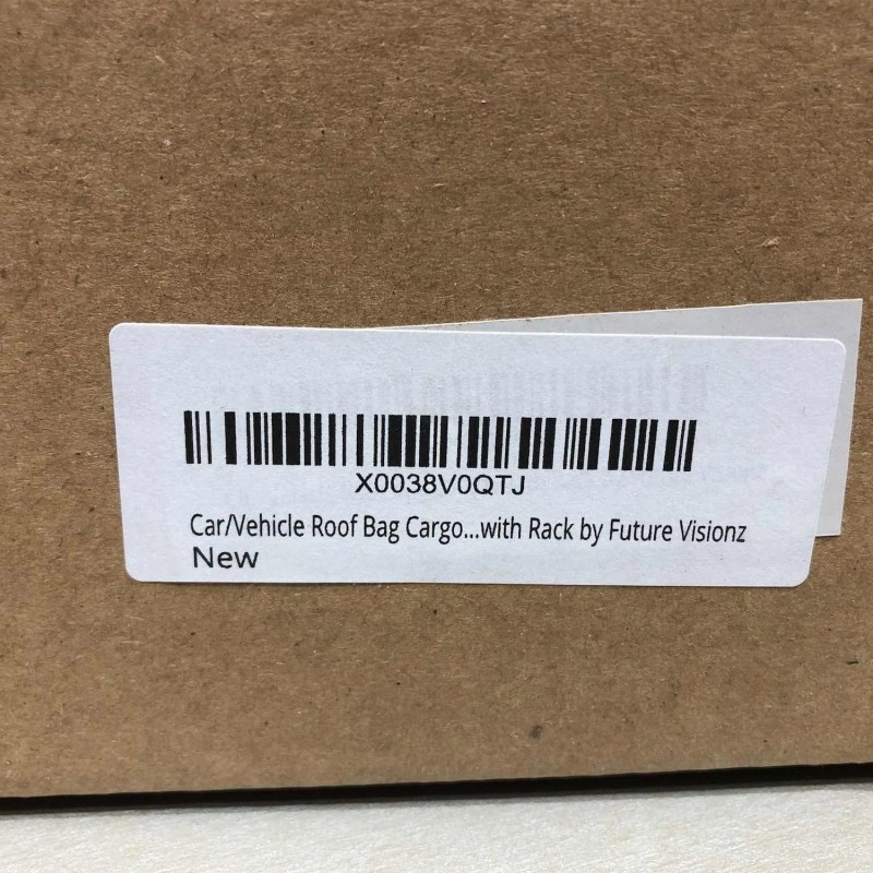 All Weather Future Visionz 20 Cubic feet Rooftop Cargo Carrier