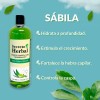 Secreto Herbal Shampoo Familiar Sábila Orgánica 1l