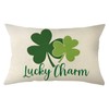 Ogiselestyle Lucky Charm Clover Throw Pillow Cover, 12 x 20