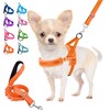 Lukovee Dog Harness and Leash Set, Soft Padded Small Dog