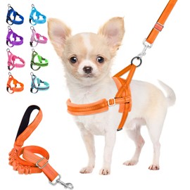 Lukovee Dog Harness and Leash Set, Soft Padded Small Dog Harness, Neck & Chest Adjustable Reflective Vest Puppy Harness with 4ft Lightweight Anti-Twist Dog Leash for Small Dogs (Orange, Small)