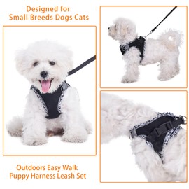 PETPUBGNZS Cute Plaid No Pull Dog Harness for Small Dogs Soft Mesh Small Dog Harness and Leash Set Easy Walk Step in Puppy Harness Vest Pet Cat Chihuahua Yorkie Shih Tzu Dog Harnesses (Black,M)