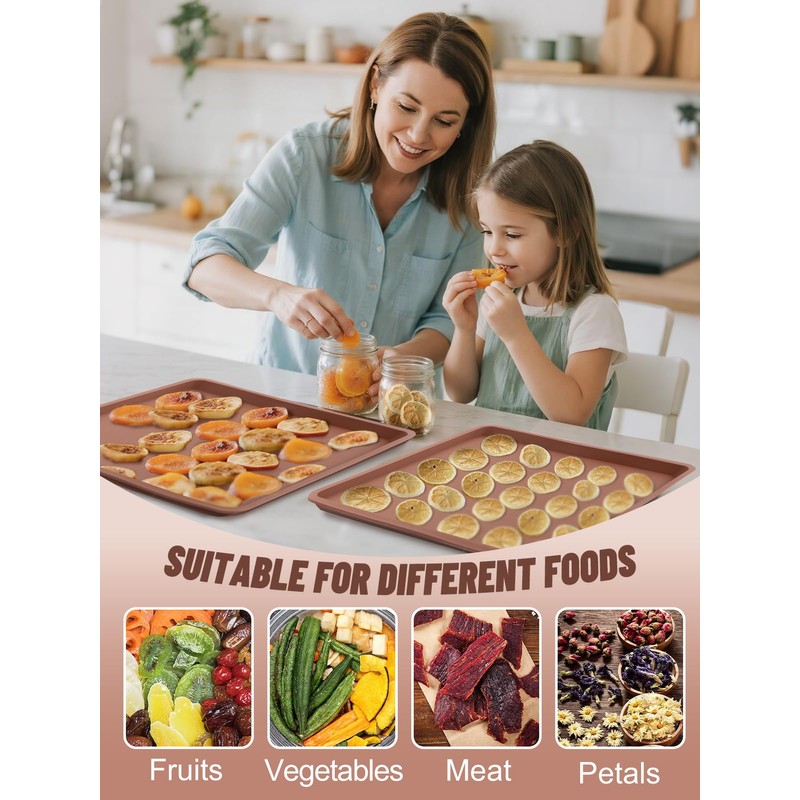 Aulock 4PCS Silicone Food Dehydrator Sheets with Edge, Compatible with
