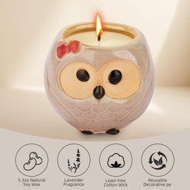 Geschenke für Mütter Geburtstag, Frauen Geburtstagsgeschenk, Schwester Geburtstagsgeschenke, 2-Pack niedliche Kerzen (Eule)