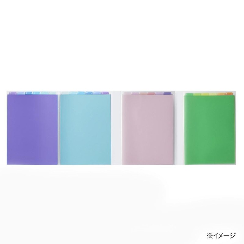 CAINZ Monthly Summary File Folder for Budget Book, Blue, Vertical