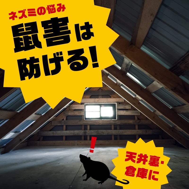 Dethmor Pro Rat Exterminator, Toss Type, Granules, 0.2 oz (5