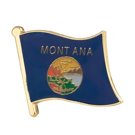 USA Montana State America Flag Metal Enamel Pin Badge Lapel