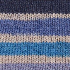 Spinrite Yarns Patons Kroy Socks, 1.75 Ounce, Coastal