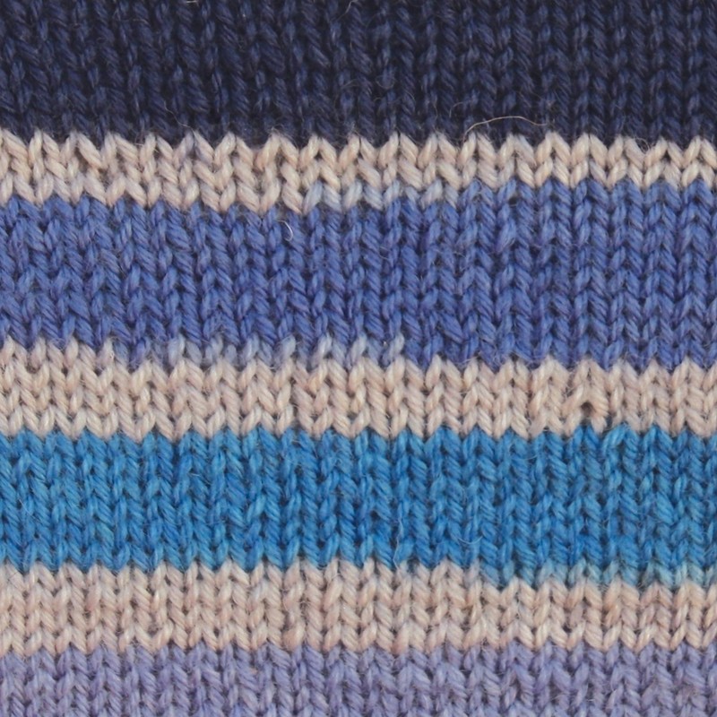 Spinrite Yarns Patons Kroy Socks, 1.75 Ounce, Coastal