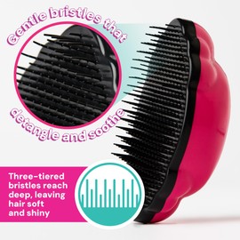 Knot Genie Detangling Hair Brush for Kids (Lilac Loveliness) | Original Full Size | Perfect for Curly Hair, Gently Separate Tangles, Leaves Hair Smooth & Shiny | The Pain Free Knot Detangler