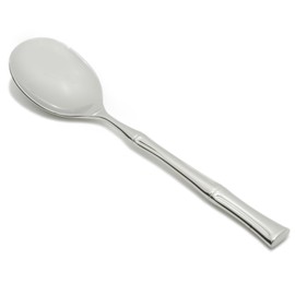 Fortessa Royal Pacific 18/10 Stainless Steel Flatware Serving Spoon, 10-Inch,Silver
