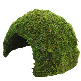 Hobby 34602 Jungle Cave 2, 118 g