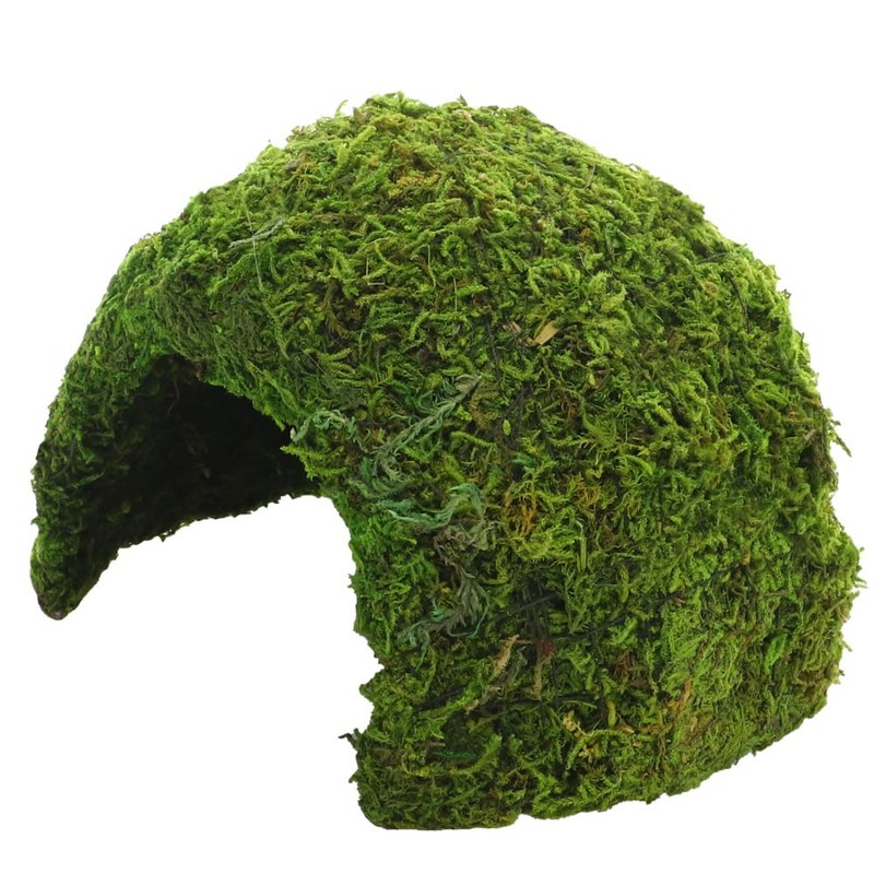 Hobby 34602 Jungle Cave 2, 118 g