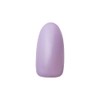 Dna Gel Color Gel MPP04 2.5g Iris UV/LED Compatible