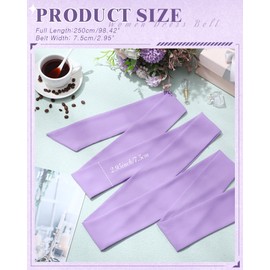 Glitopper Women Chiffon Sash Belt Dress Sash Waist Bridal Wedding Belt 50s Accessories 3'' Wide(Lilac Purple,Classic Style)