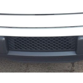 EcoBoost Black Lower Bumper Grille Insert - Accesspeed Lower Grille - OEM-Style ABS Lower Bumper Grille Insert - Compatible with 2014 Ford F150 3.5-liter Ecoboost Model