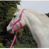 Rhinegold Unisex's Carnival Headcollar & Rope, Bright Pink, Full
