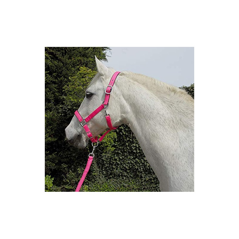 Rhinegold Unisex's Carnival Headcollar & Rope, Bright Pink, Full
