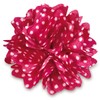 Aria Dot Rose 48 Piece Bows for Dogs