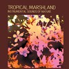 Tropical Marshland