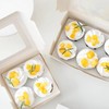 MonYouGe 10-Set Cupcake Boxes Bulk with Clear Display Window Hold