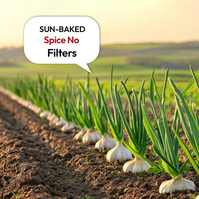 ProChef Pure Garlic Powder | Ideal for Cooking, Seasoning &