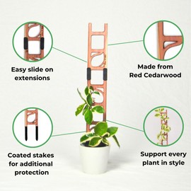 Stella - Extendable Ladder Trellis by Treleaf | Wooden plant stake for houseplants | Fits pots bigger than 3” diameter, extendable | 1 x 12'' Base + 1 x 8'' Extension | 3" wide