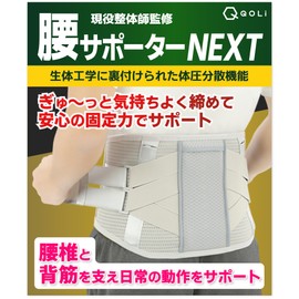 【腰専科】 腰サポーター 姿勢 調整 コルセット背中 二重構造 メッシュ 立ち仕事 デスクワーク 男女兼用 (グレー, XL)