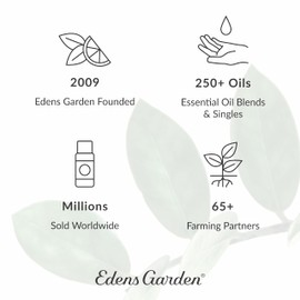 Edens Garden Pampered Skin Essential Oil Blend 100% Pure & Natural Premium Best Recipe Therapeutic Aromatherapy Blend 10 ml Roll-On