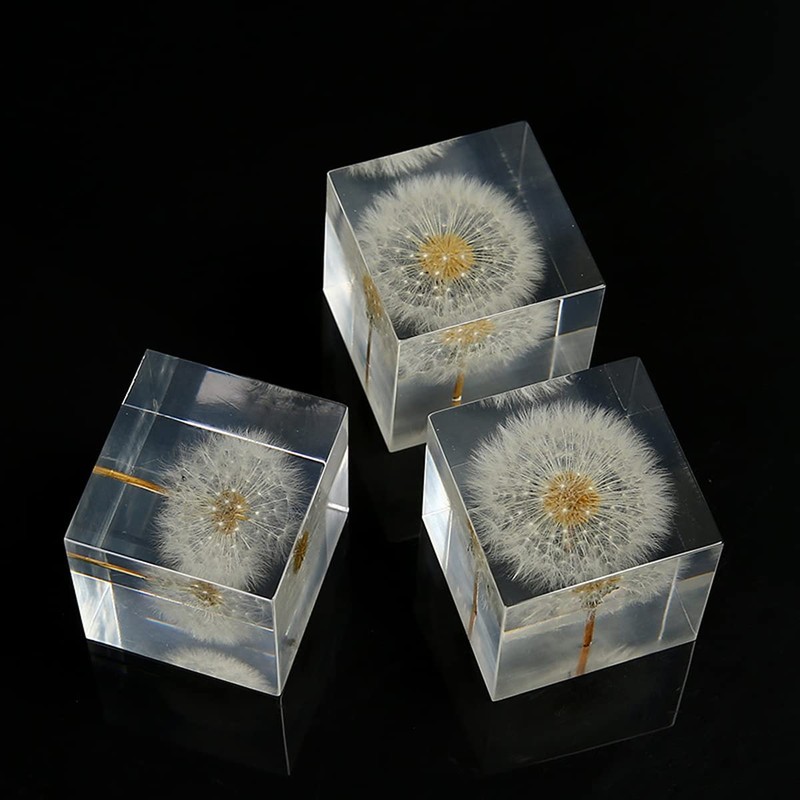 DESHINTKE Cube Dandelion Specimen Paperweight with Wood Box, 2 inch
