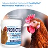 HealthyGut Probiotics for Chickens & Poultry, All-Natural Digestive System Dietary