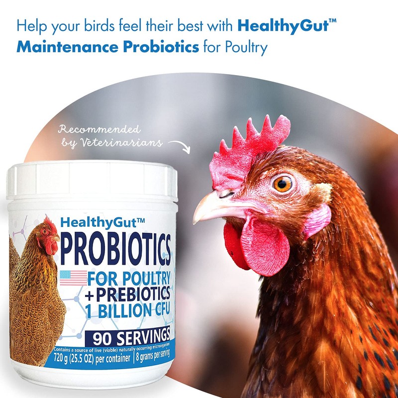 HealthyGut Probiotics for Chickens & Poultry, All-Natural Digestive System Dietary