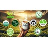 Tozzy USDA Organic Ginger Tea - 100 Count (Pyramid Tea