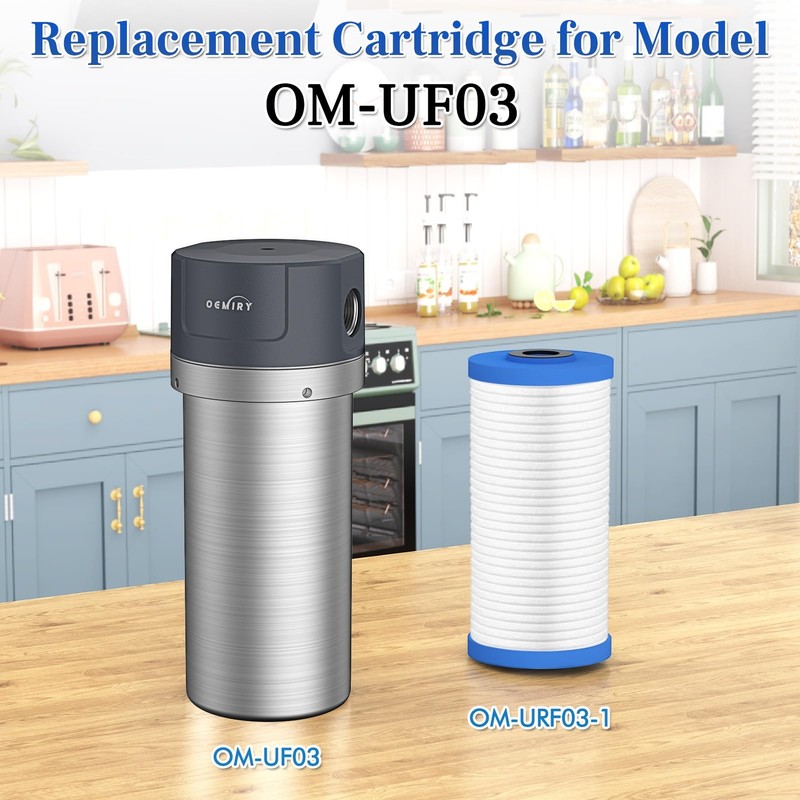 OEMIRY Whole House Water Filter, Stainless Steel Filter Housing, 10"x4.5"