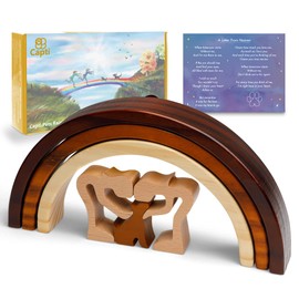 Capti Rainbow Bridge Dog Memorial Gifts, Cat Memorial Gifts - I'll Meet You at The Rainbow Bridge - Pet Loss Gifts, Bereavement, Sympathy Keepsake Dog Mom, Dog Dad for Loss of Pet (Dog and Two Moms)