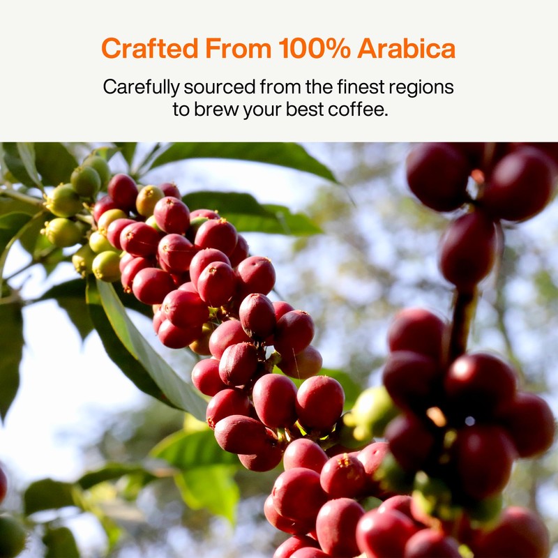 SATURNBIRD Instant Coffee Cold Brew, Coffee Pods of Light Roast,