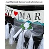 4 PCS Just Married Wedding Car Decorations Kit - Veil