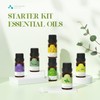 ASAKUKI Essential Oils Set, Starter Kit Oils for Diffusers for