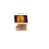 Hawaiian Yellow Kahili Ginger Plant Root (Pack of 5) Grow