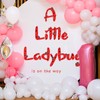 A Little Ladybug is On The Way Decal - Little