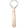 Alizeal Boys Solid Color Pre-tied 2.4'' Zipper Skinny Necktie, Champagne