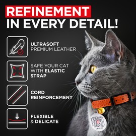 Leather Cat Collar with Bell & Elastic Strap - Pet Collar Leather - Leather Kitten Collar - Cats Small and Big Cat Collar for Boy Cats, Girl Cats with Safety Elastic Strap (Orange, 6" - 8")