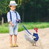 Chicken Harness with Leash, Adjustable Chicken Leash for Hens, Duck,