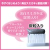 Whitening Smigaki with Charcoal Grain (Charcoal and Silica), Tooth-Whitening Toothpaste,