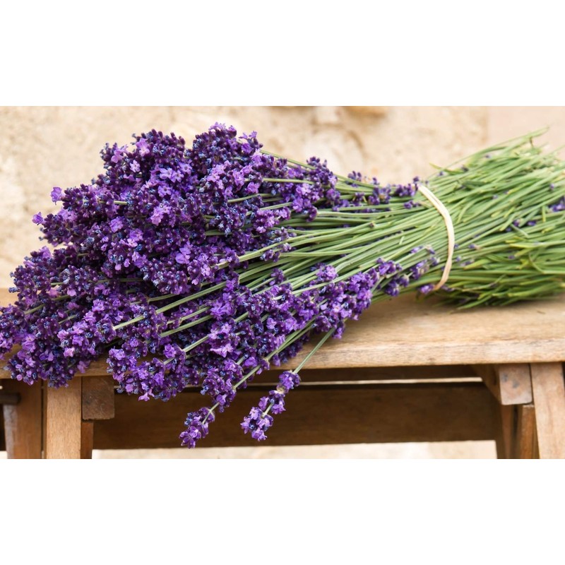 Seeds Lavender Herbs Garden for Planting Non GMO