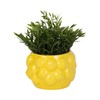 Sagebrook Home Unique Decorative Ceramic Planter for Indoor Greenery