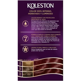 Koleston Tinte Permanente 46 Borgoña, 70 ml - Paquete de 1
